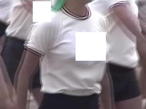 サンプル画像
