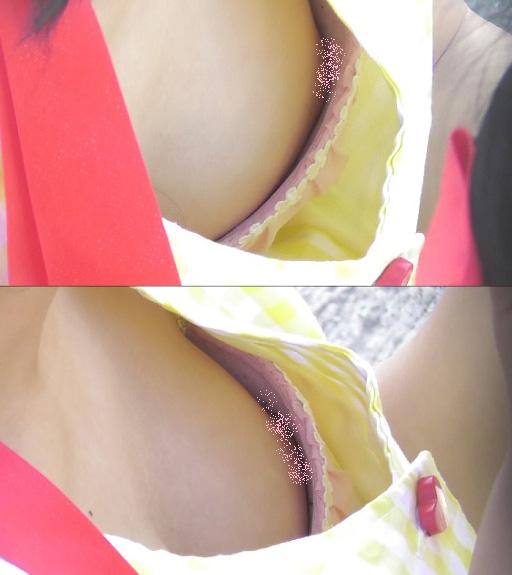 サンプル画像