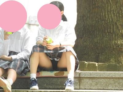 サンプル画像