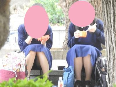 サンプル画像