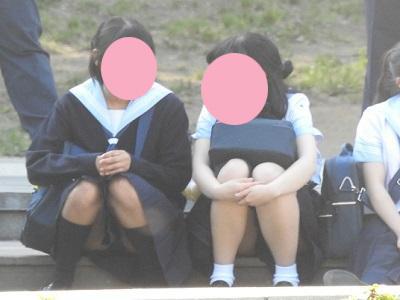 サンプル画像