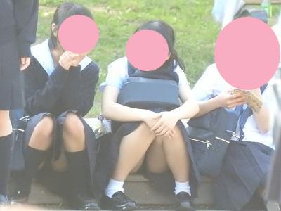 サンプル画像