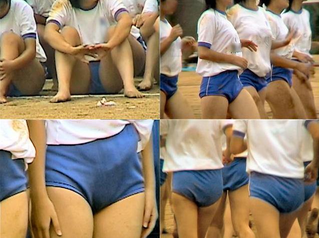 サンプル画像