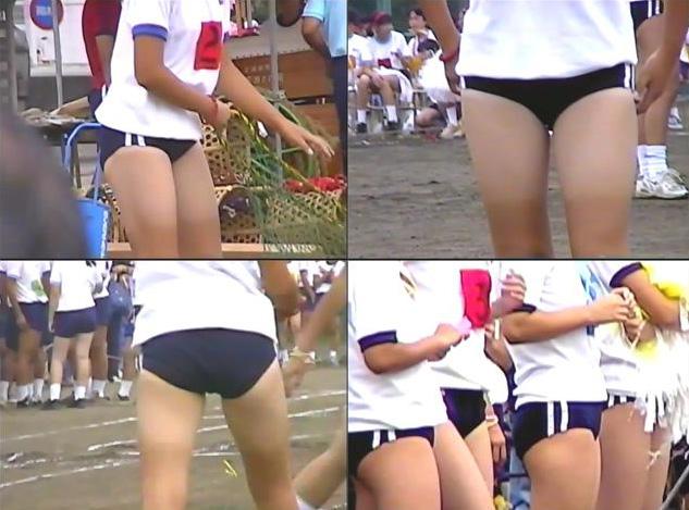 サンプル画像