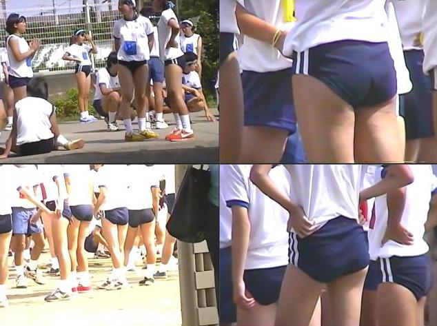 サンプル画像