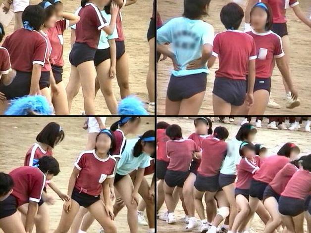 サンプル画像