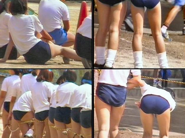 サンプル画像