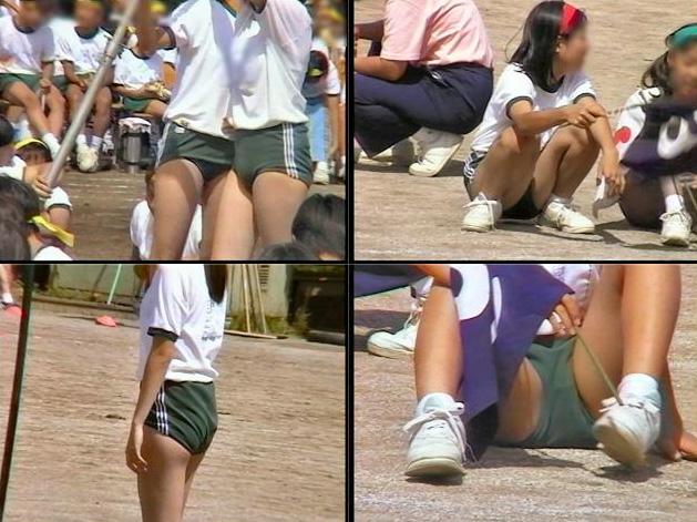 サンプル画像