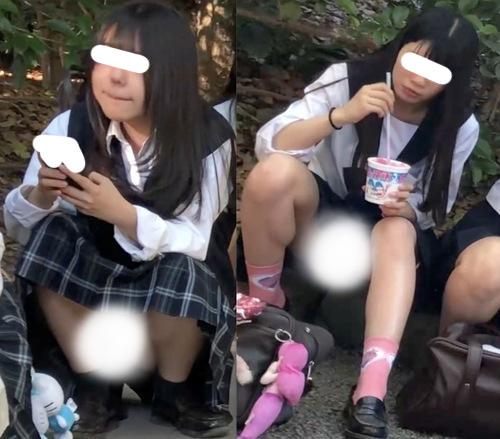 サンプル画像