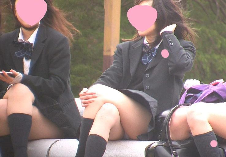 サンプル画像