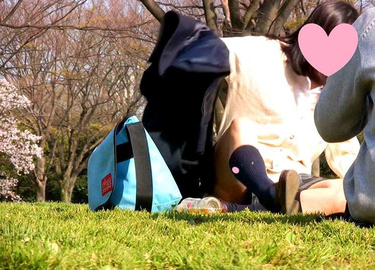 サンプル画像