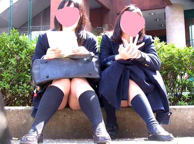 サンプル画像