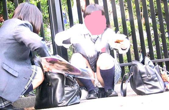 サンプル画像