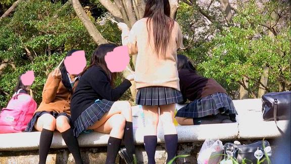 サンプル画像