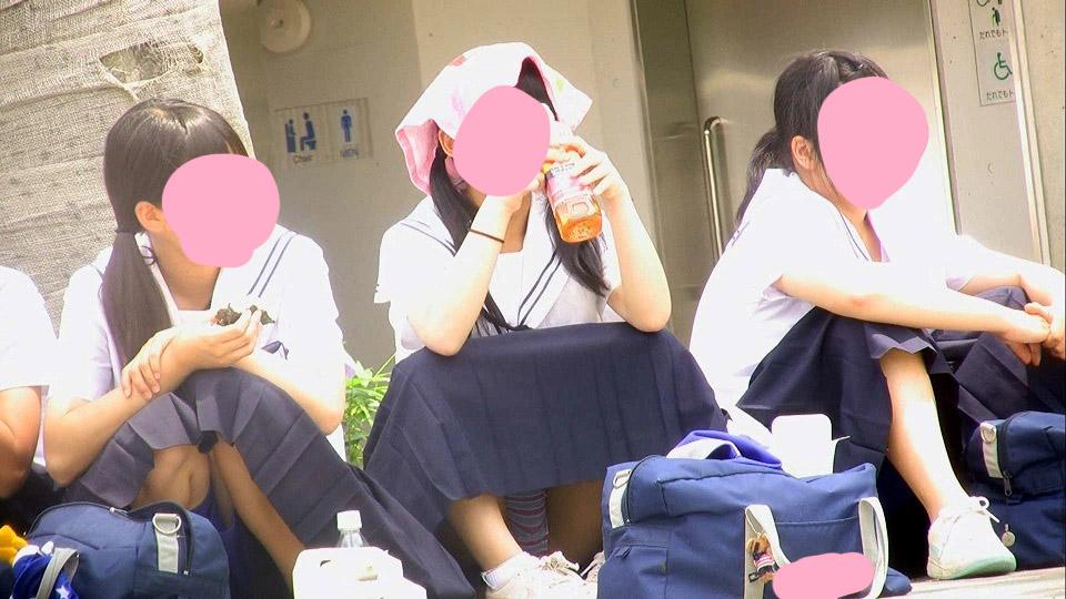 サンプル画像
