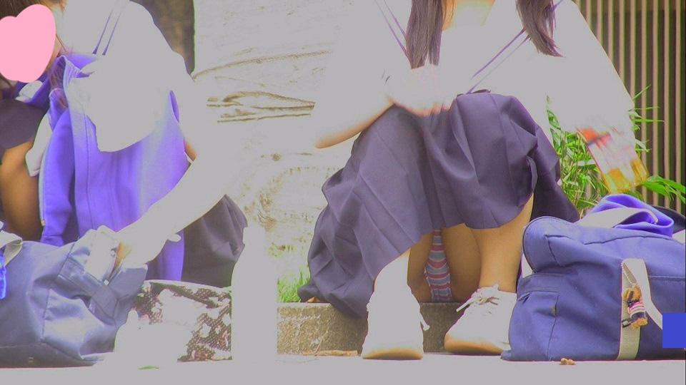 サンプル画像