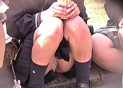 サンプル画像