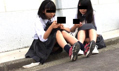 サンプル画像
