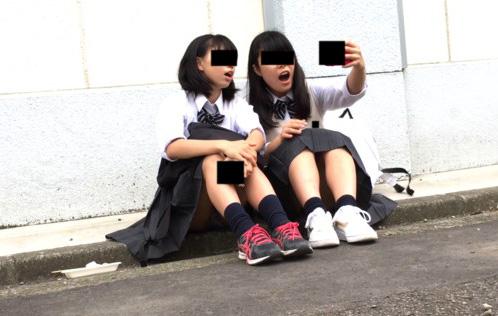 サンプル画像