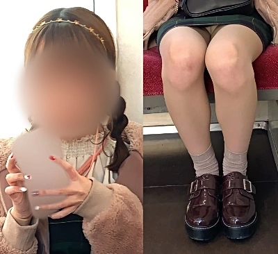 サンプル画像