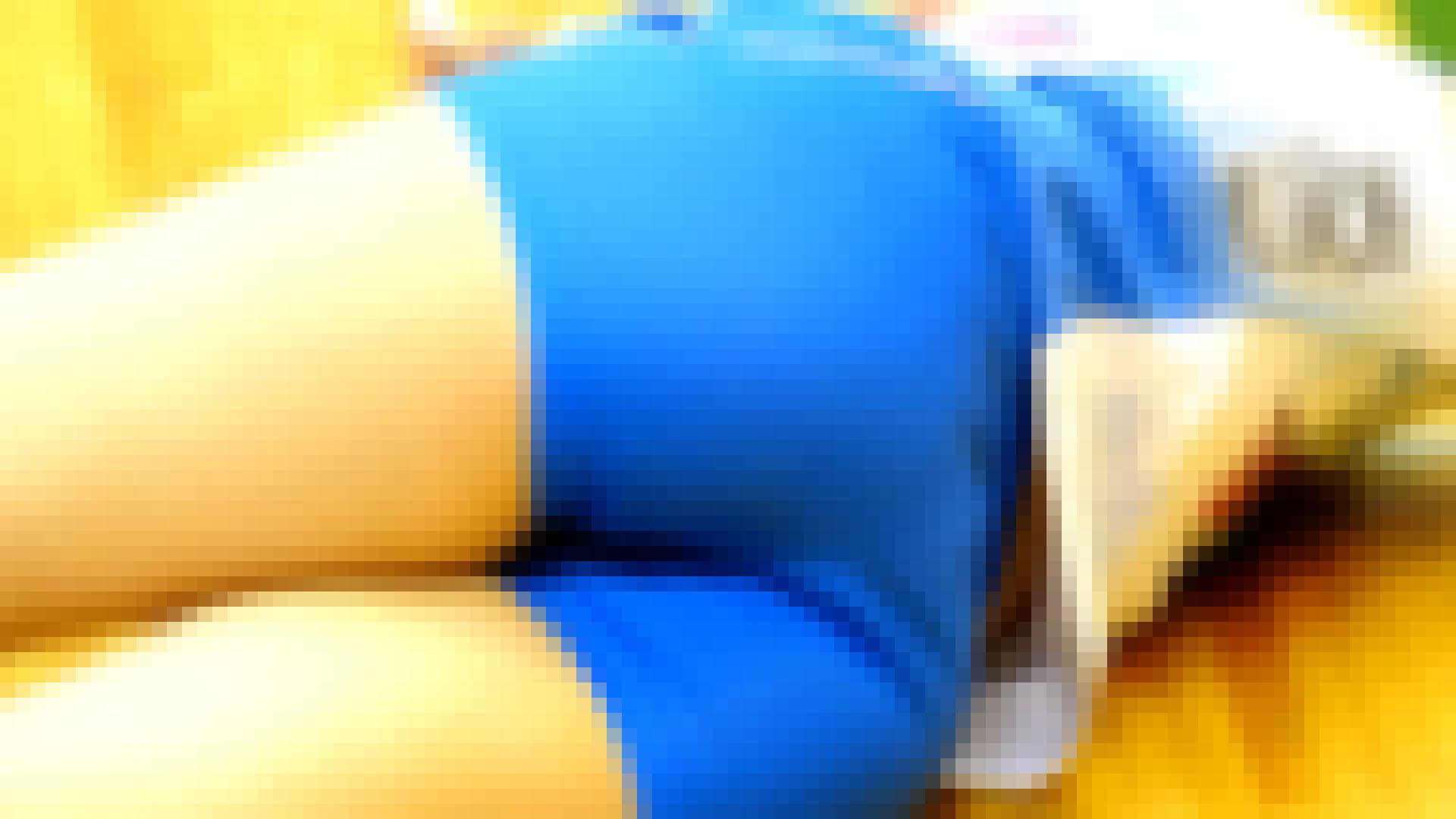 サンプル画像