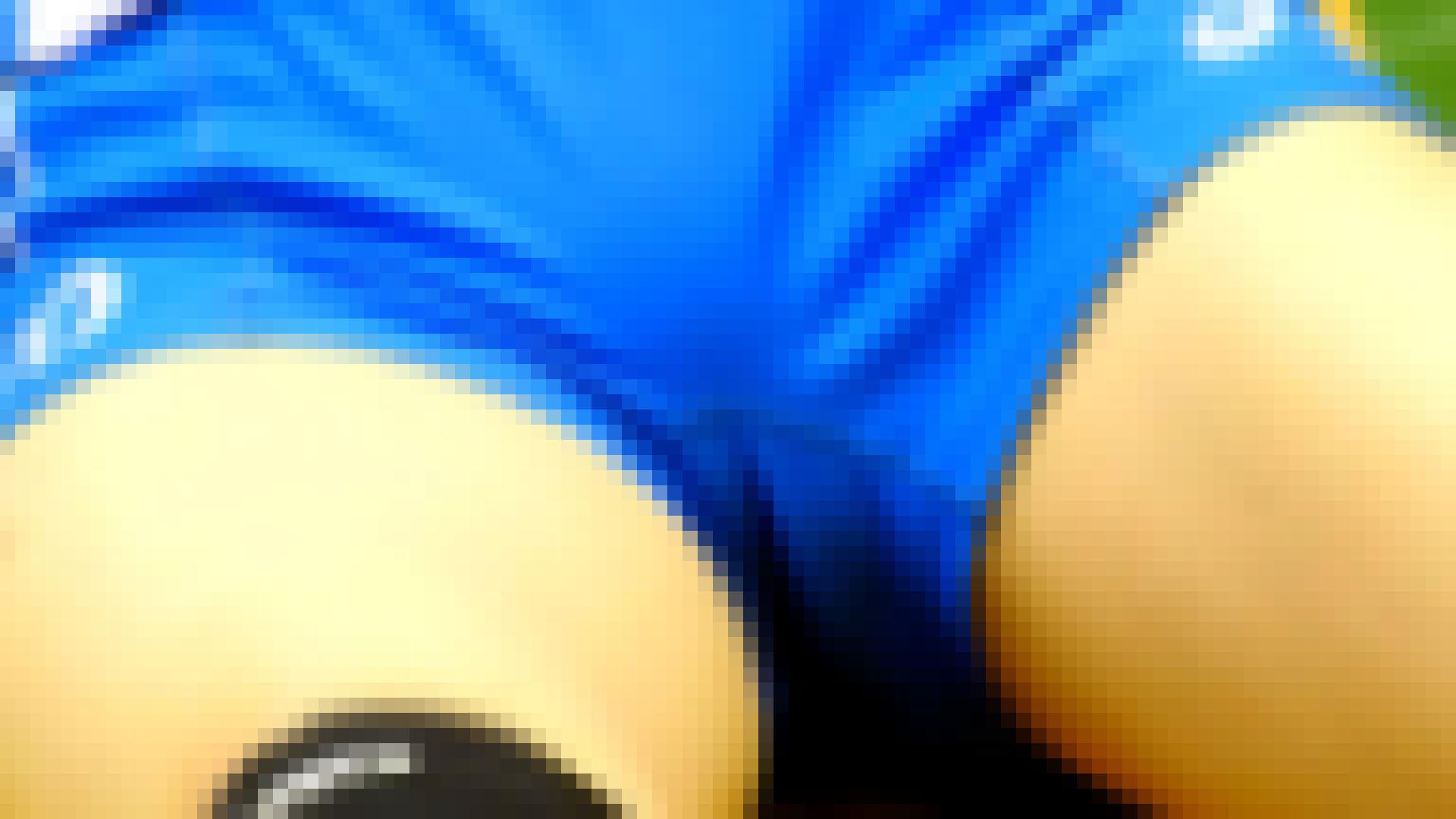 サンプル画像