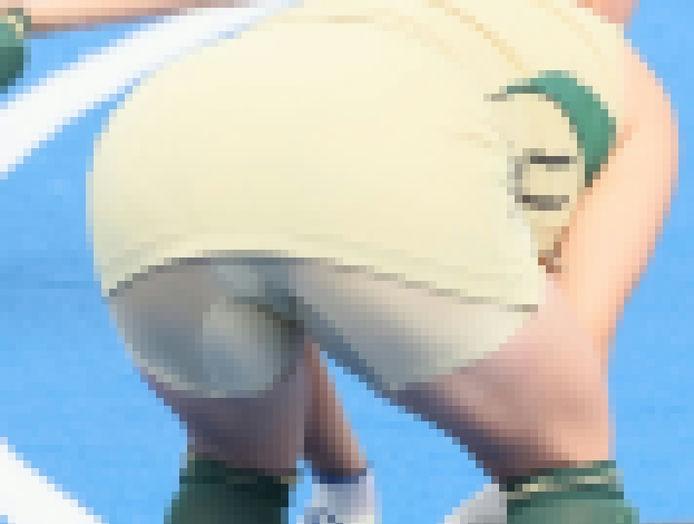 サンプル画像